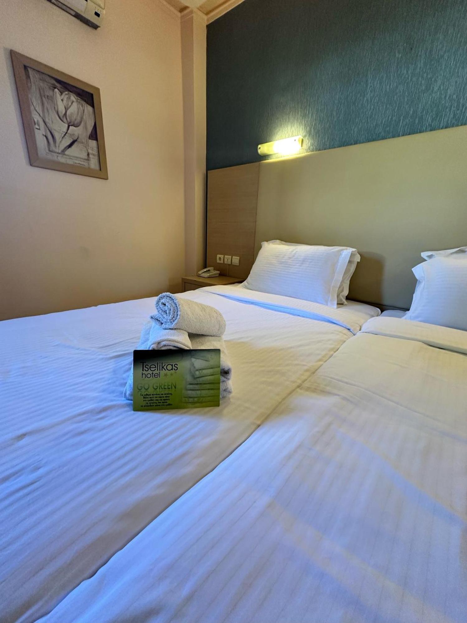 Tselikas Hotel 코자니 객실 사진
